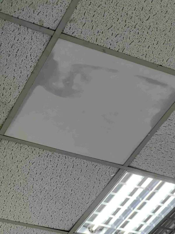 20250820-68a57bae0cf2b.jpg