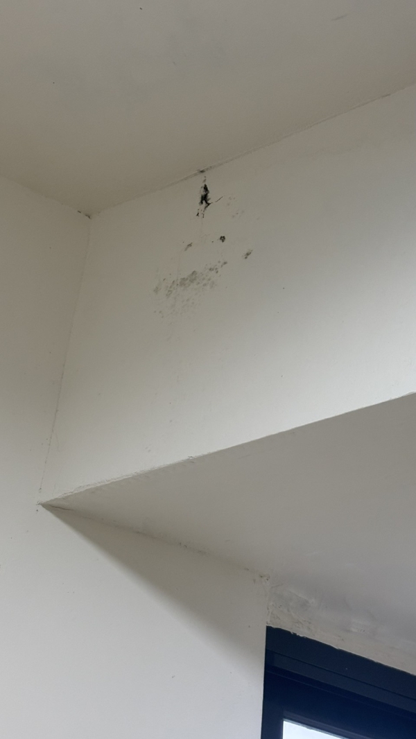 20260402-69cdfa2223ec3.jpg