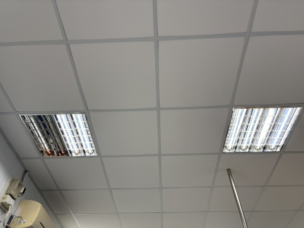 20260416-69e0541ea1265.jpg